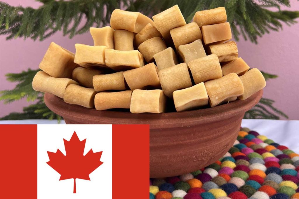 Yak Chews in Canada: A Look into Manufacturing, Wholesale, and Suppliers from Nepal
